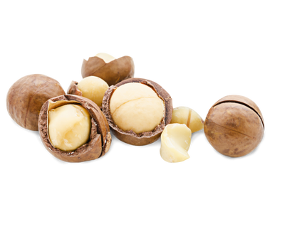 Noix de macadamia